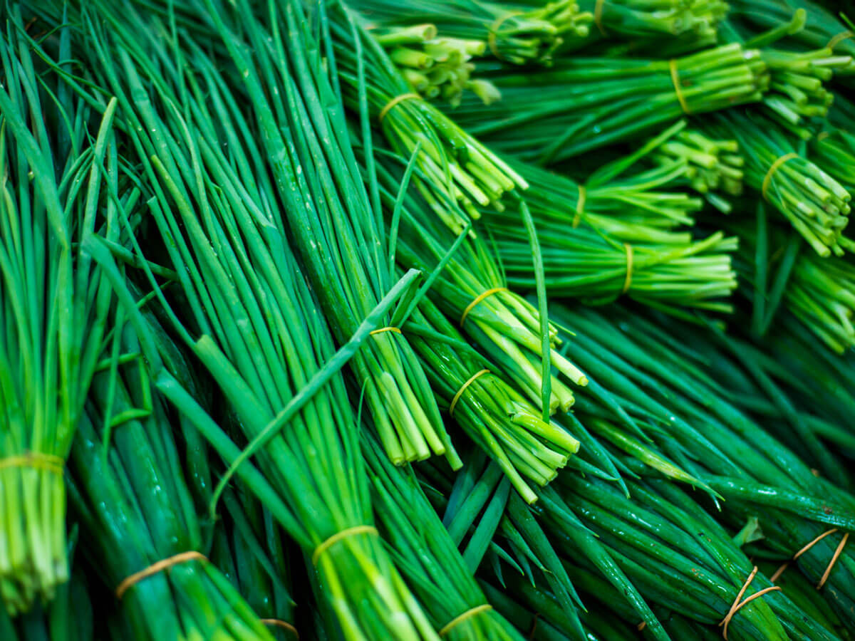 Chives Or Spring Onion