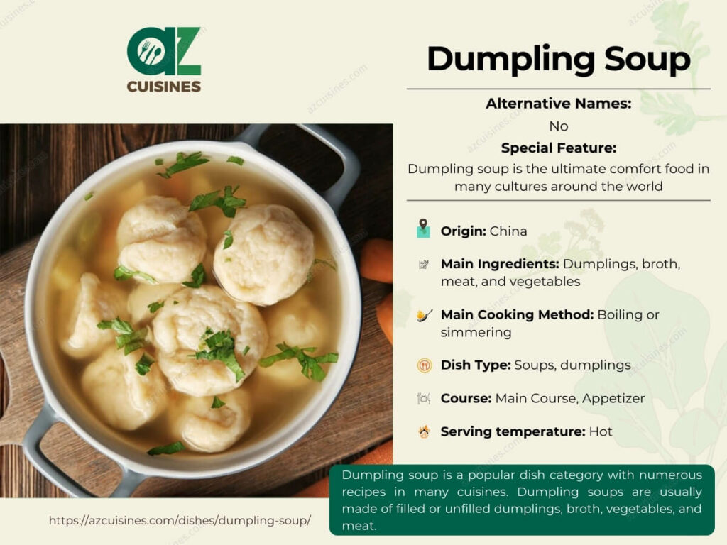Dumpling Soup Infographic