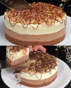 Decadent Duo-Chocolate Layered Delight Recipe