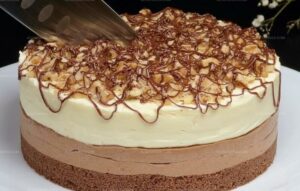 Decadent Duo-Chocolate Layered Delight Recipe