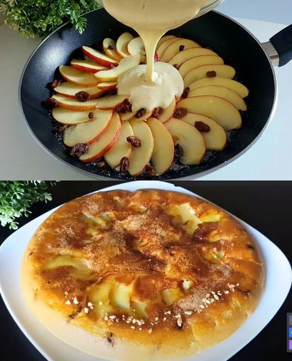No-Oven Apple and Raisin Skillet Cake Recipe