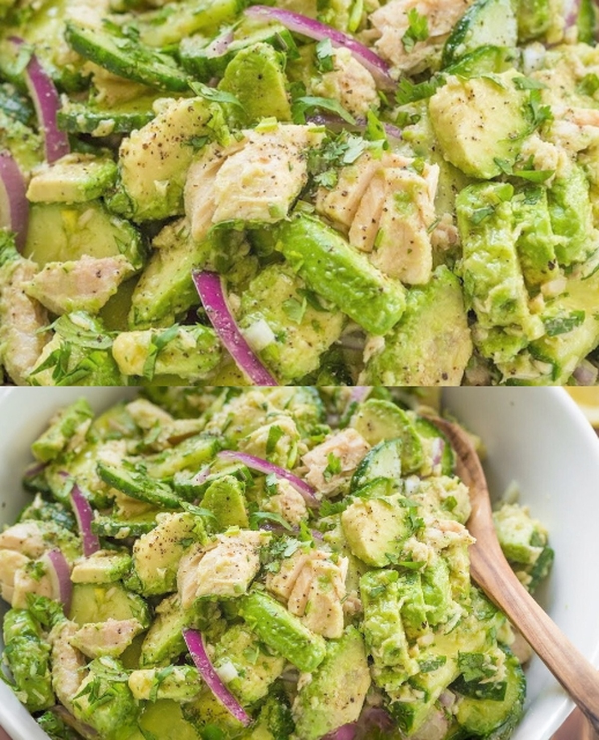 Refreshing Avocado Tuna Salad Recipe
