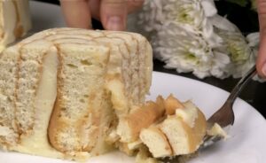 No-Bake Savoiardi Cookie Delight Recipe