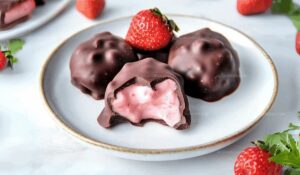 Chocolate Strawberry Yogurt Bites Recipe